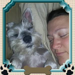 Meet your Posher, Misty